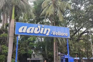 aavin