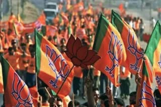 BJP made strategy to reach out OBC voters