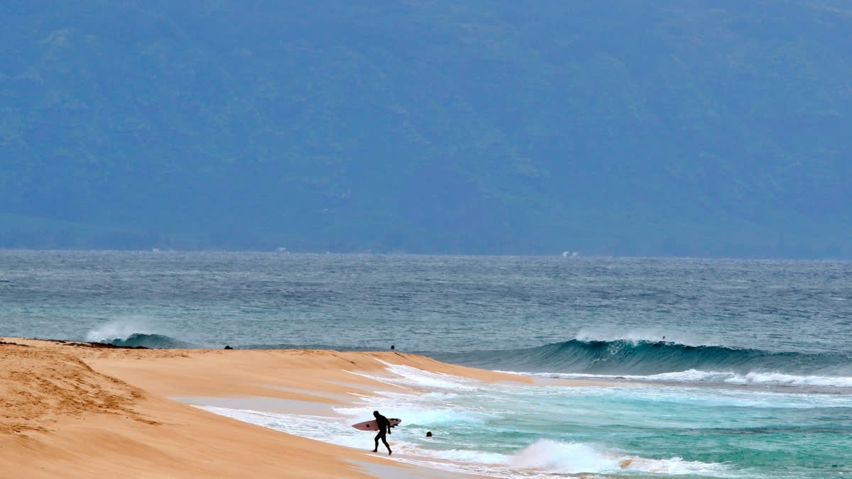 Shark Bites Maui Surfer Completely Severing His Leg