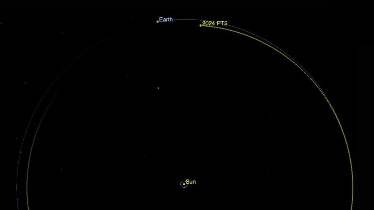 Asteroid 2024 PT5's Orbit Around the Sun