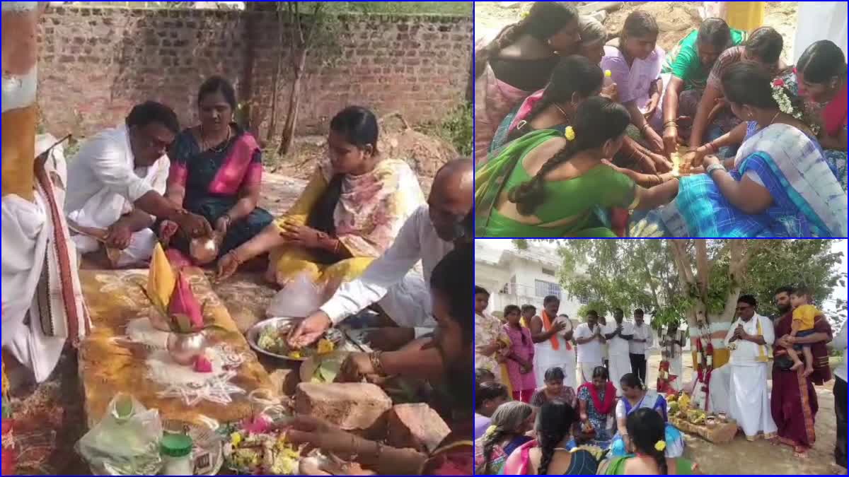 Marriage Of Peepal And Neem Tree