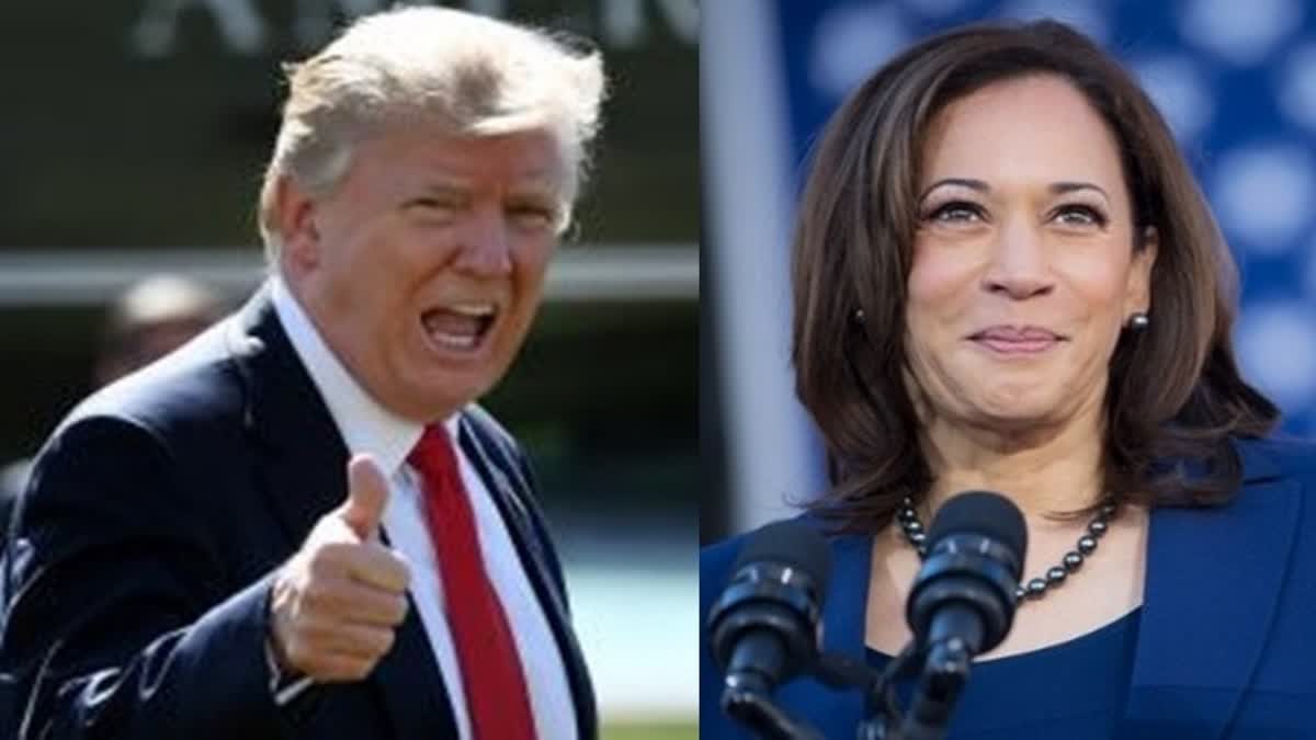 Former President Donald Trump and Vice President Kamala Harris