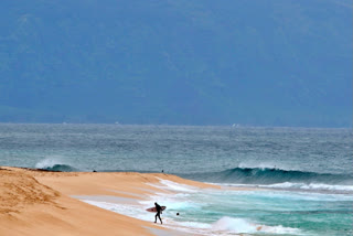 Shark Bites Maui Surfer Completely Severing His Leg