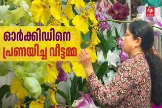 ORCHID CULTIVATION  FLORICULTURE BY LASEENA  ഓർക്കിഡ് കൃഷി  LATEST NEWS IN MALAYALAM