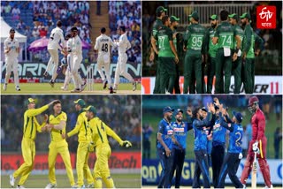 Full Cricket Schedule in November