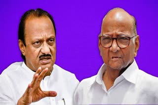 Ajit Pawar supporters reaction on sharad pawar and ajit pawar celebrate separate diwali padwa in baramati