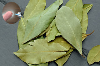 Bay leaf is a surefire way to control blood sugar