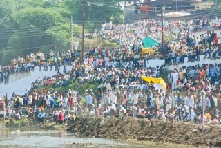 burhanpur cattle collision