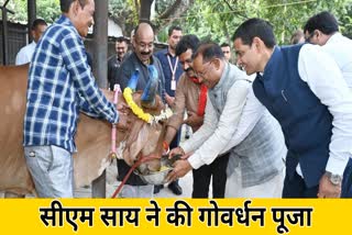 Chief Minister Vishnu Deo Sai worshiped Cow