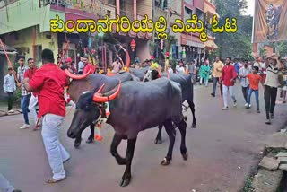 ಕುಂದಾನಗರಿಯಲ್ಲಿ ಎಮ್ಮೆ ಓಟ