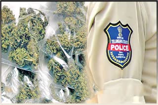 Police Colluded With Ganja Smugglers