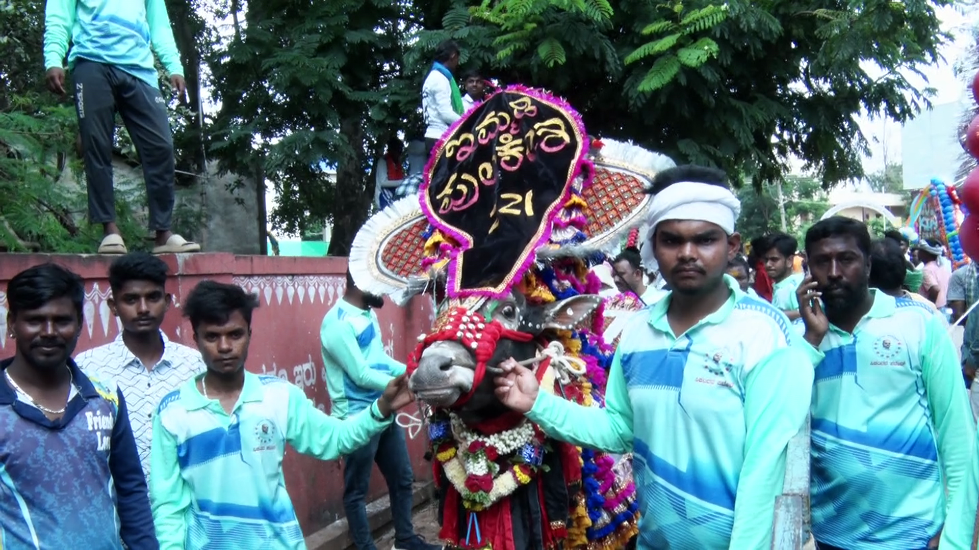 ಹಾವೇರಿಯಲ್ಲಿ ದನ ಬೆದರಿಸುವ ಸ್ಪರ್ಧೆ