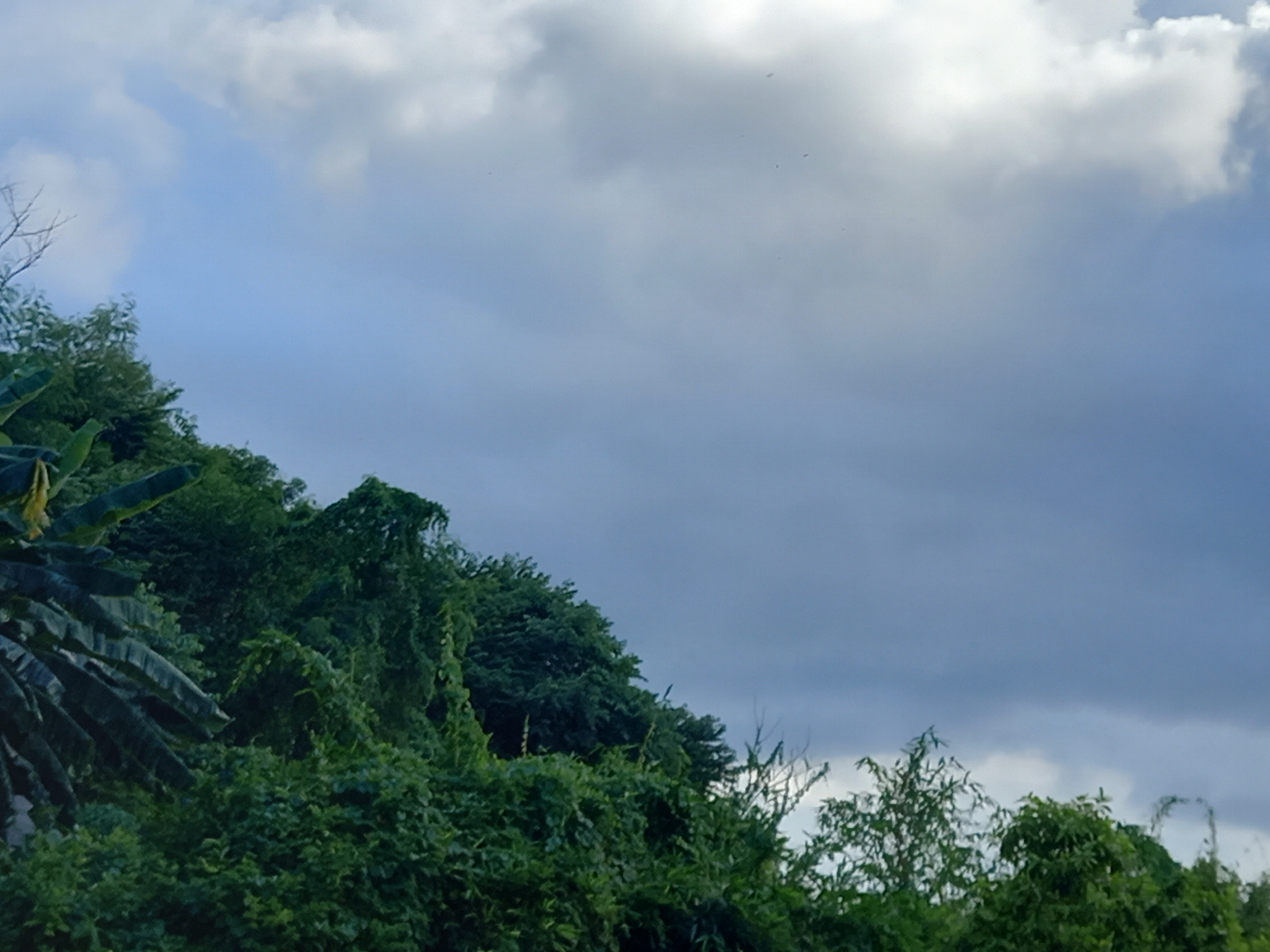 West Bengal Weather Update on Saturday