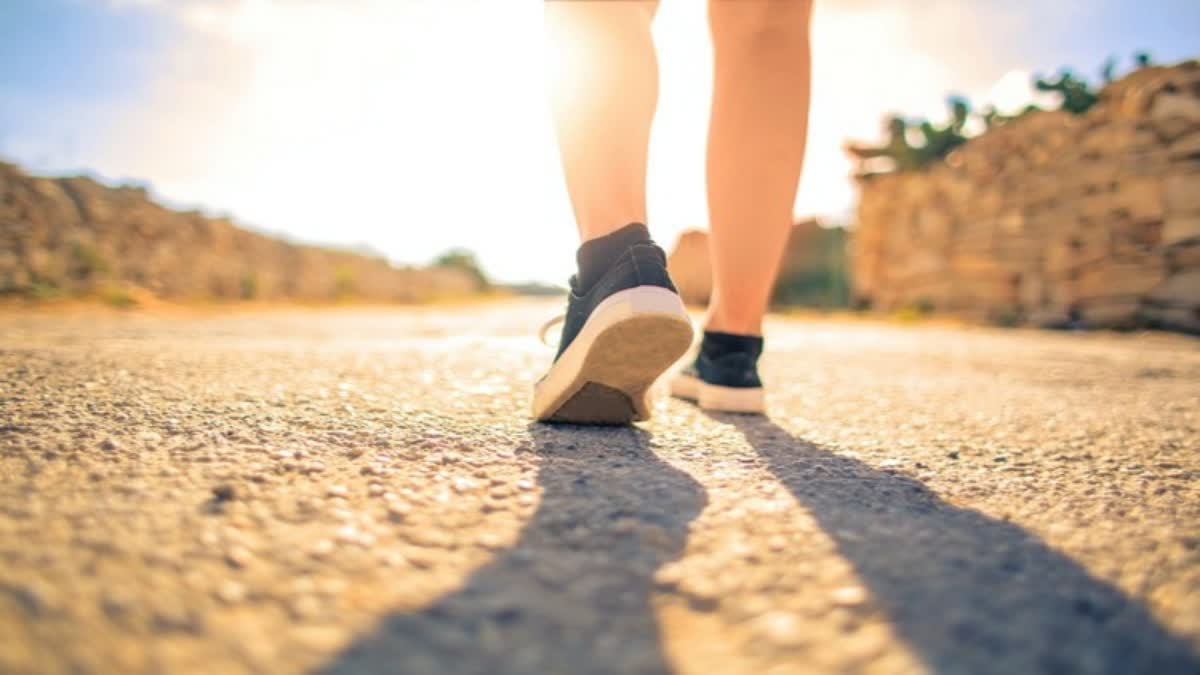 How Much Walking In A Week To Lose Weight