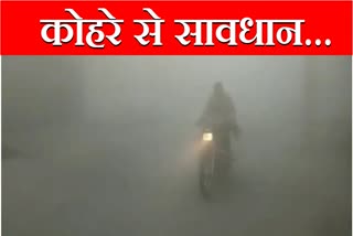 Fog Alert Haryana Chandigarh Kohra in Haryana cities Chandigarh Haryana News