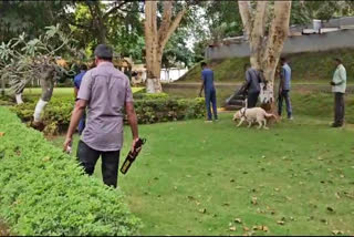 Hoax bomb threat case  Police intensify investigation  Hoax bomb news  ಹುಸಿ ಬಾಂಬ್ ಬೆದರಿಕೆ ಪ್ರಕರಣ  ತನಿಖೆ ಚುರುಕು  ರಾಜ್ಯಾದ್ಯಂತ ಸಂಚಲನ  ಹುಸಿ ಬಾಂಬ್ ಬೆದರಿಕೆ  60 ಶಾಲೆಗಳಿಗೆ ಹುಸಿ ಬಾಂಬ್ ಕರೆ  ವಿಶೇಷ ತಂಡ ರಚಿಸಿ  ಇಮೇಲ್​ನ ಐಪಿ ಅಡ್ರೆಸ್ ಟ್ರೆಸ್