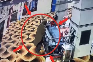 Attempted theft in Gurudwara Sahib of Amritsar, the incident was caught on CCTV