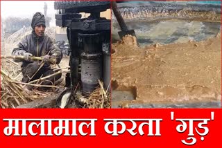 panipat Jaggery business became rich after leaving jobs worth lakhs Gave employment to many people