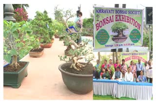 bonsai_trees_exibition_in_vijayawada