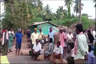 farmers_protest_on_road_with_harvested_grain