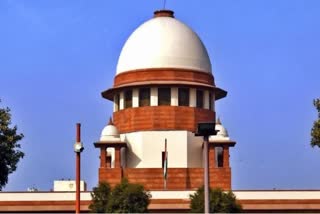 Pooja Singhal petition in Supreme Court