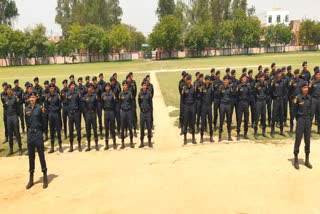 Special Commando Police Force In Haryana
