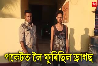 Drugs peddler Arrested in Bongaigaon