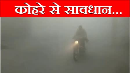 Fog Alert Haryana Chandigarh Kohra in Haryana cities Chandigarh Haryana News