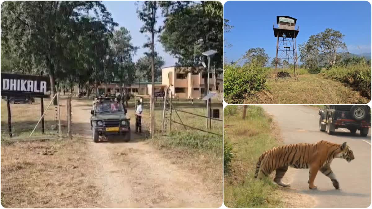 Corbett National Park Watch Tower