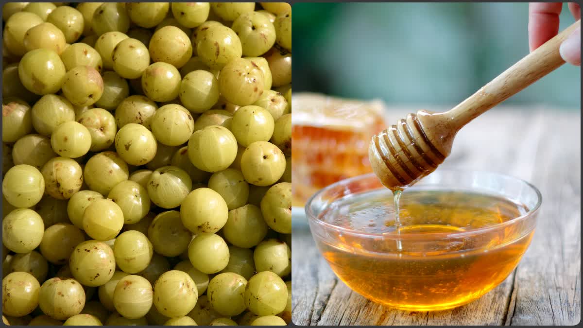 AMLA AND HONEY FOR WINTER DISEASES