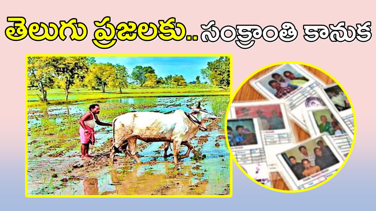 New Ration cards and RytuBharosa Update