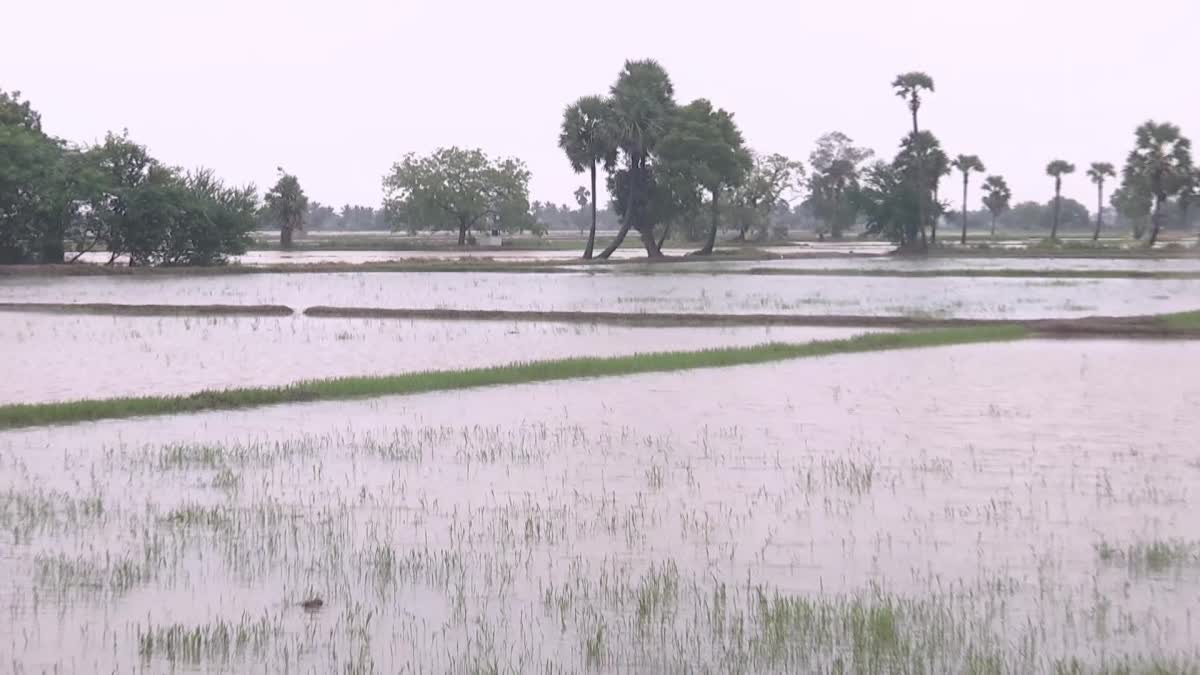 rains_in_ap_due_to_cyclone_fengal