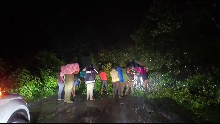 ಮಾದಪ್ಪನ ಬೆಟ್ಟದ ರಸ್ತೆಯಲ್ಲಿ ಮರಬಿದ್ದು ಟ್ರಾಫಿಕ್ ಜಾಂ