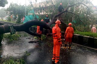 CYCLONE FENGAL