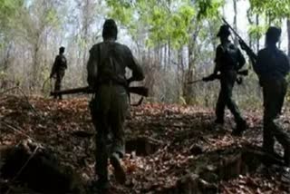 Seven Maoists Killed in Mulugu Encounter