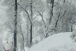 A view of snow clad landscape in Kashmir