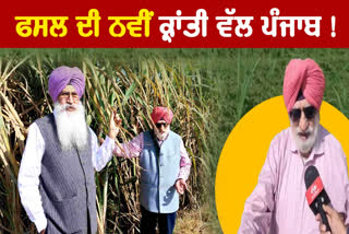 MULTI CROPPING IN PUNJAB