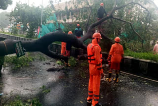 Cyclone Phangal weakens, yet heavy rain continues in Tamil Nadu, Puducherry