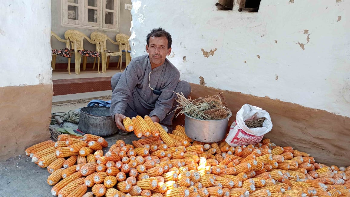 प्राकृतिक खेती से प्रदेश के किसानों की बढ़ी आय