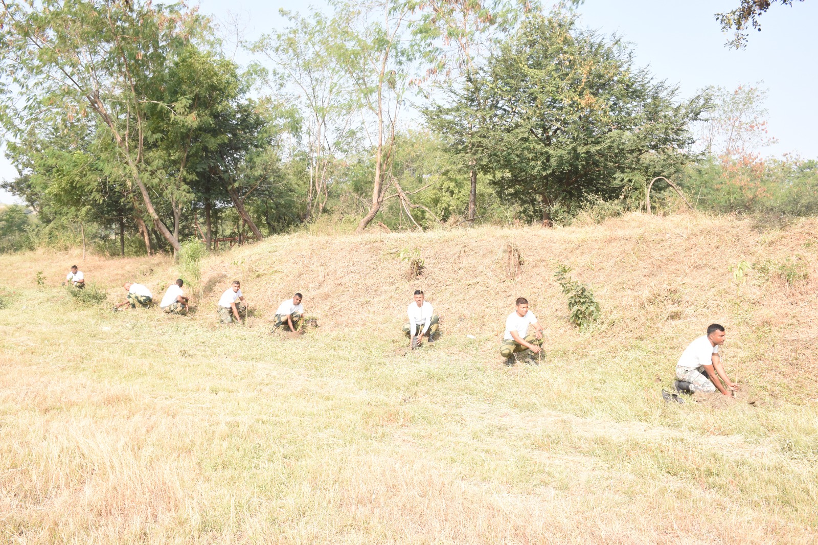 bsf 1000 tree Plantation in indore