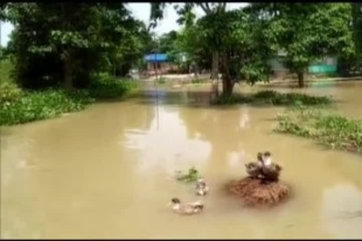 5 killed, over 1 lakh affected due to floods in West Garo Hills