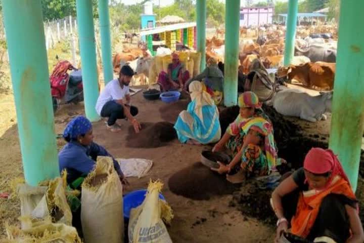 Vermi compost became a source of additional income