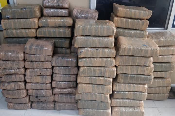 NCB seizes 5,477 kg of ganja from Andhra Pradesh-Odisha border