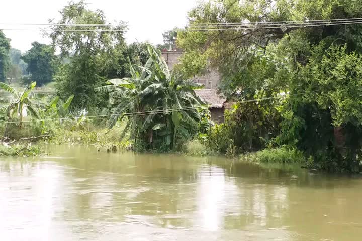 Rain cut in many places even after dam repair work in Sitamarhi