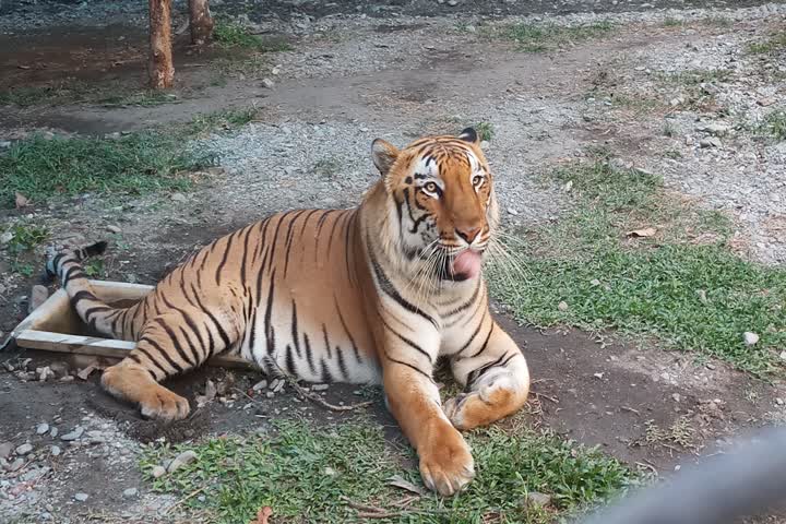 One and only safari park of West Bengal to open soon which is situated in Siliguri