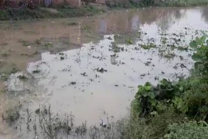 farmers upset due to crop failure due to rain in lakhisarai