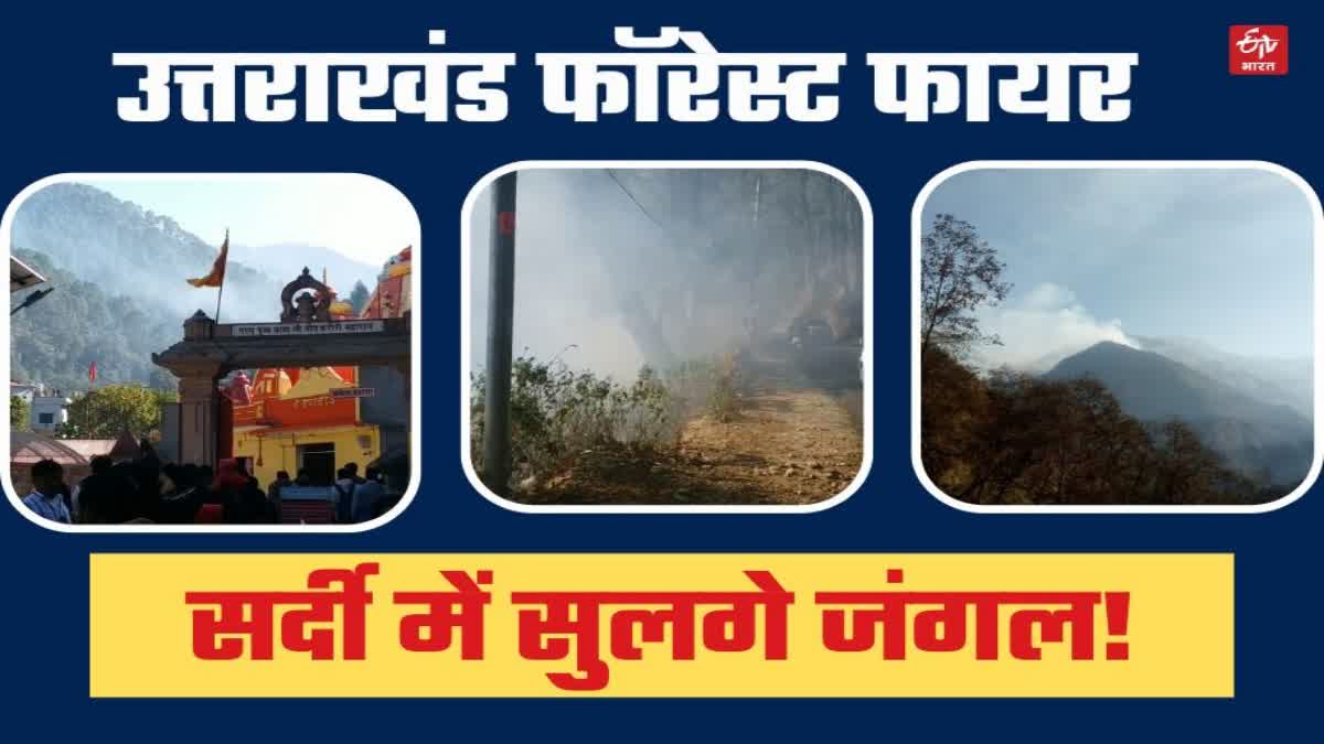 Fire in Kainchi Dham forest