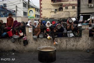 Apart from Palestinians, animals are also dying of hunger in Gaza