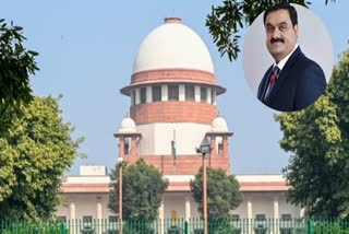 Adani Hindenburg Case Verdict