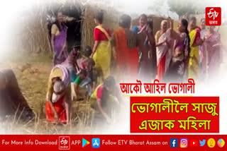 Magh Bihu preparations in Nalbari